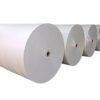 PE Coated Paper Roll