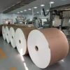 PE Coated Paper Roll