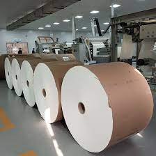 PE Coated Paper Roll